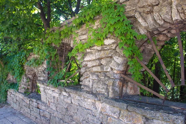 Stone arch with a lattice fence — Stock Photo, Image