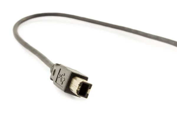 Usb кабель ізольований на білому фоні — стокове фото