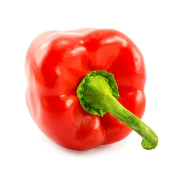 Red Bell Pepper isolado em um fundo branco — Fotografia de Stock