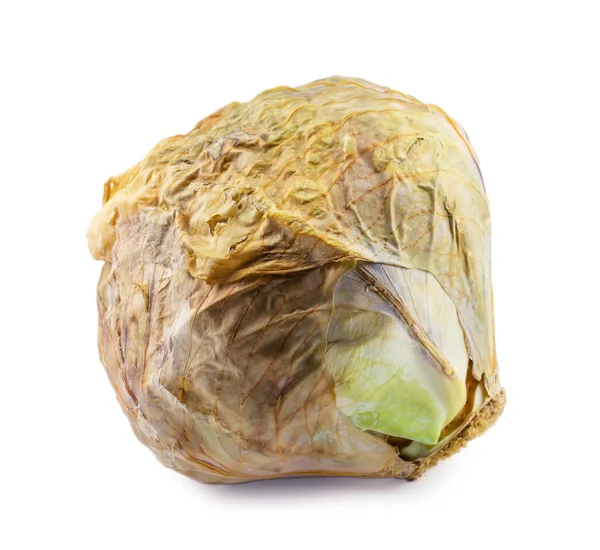 Spoiled cabbage isolated on white background — Stock Photo, Image