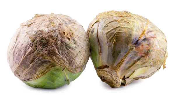 Spoiled cabbage isolated on white background — Stock Photo, Image