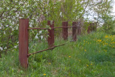 Bahçedeki eski paslı demir çit