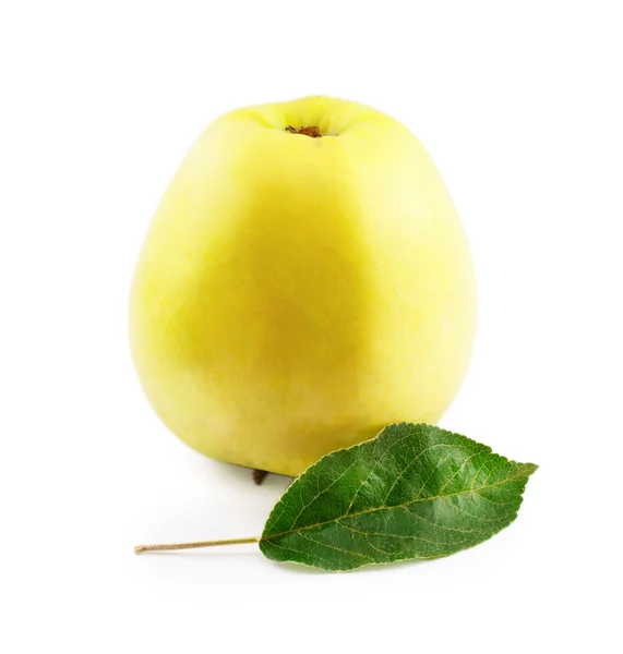 Manzana amarilla con hojas aisladas sobre fondo blanco —  Fotos de Stock