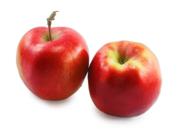 Dos manzanas rojas aisladas sobre fondo blanco — Foto de Stock