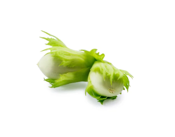 Green hazelnuts isolated on a white background — Stock Photo, Image