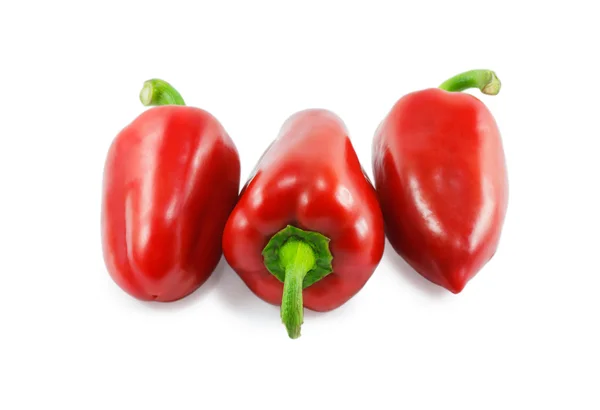 Red peppers isolated on a white background — Stock Photo, Image