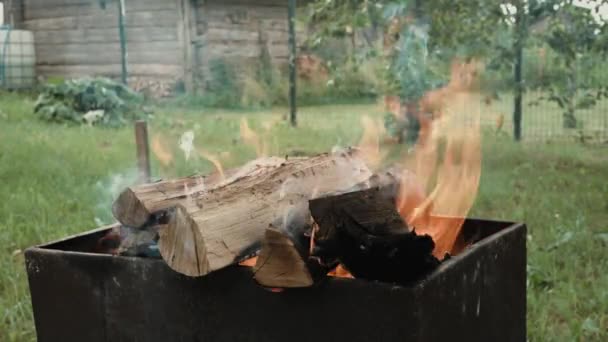 Oheň hoří v grilu. Hořící dřevo v grilu. Kempování o víkendu. Příprava uhlí na vaření na grilu. Krásný pohyb živého ohně. Rozmazané pozadí. 4k — Stock video