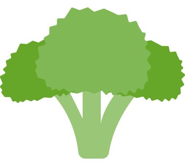 flat illustration broccoli vector