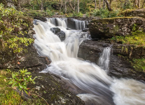 Watervallen in bos op Inversnaid — Stockfoto