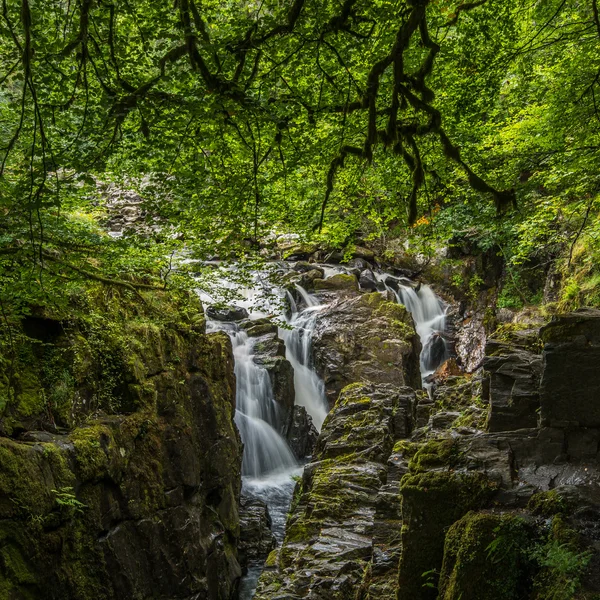 The Hermitage, Perthshire — Stock Photo, Image