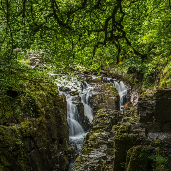 Die einsiedelei, perthshire — Stockfoto