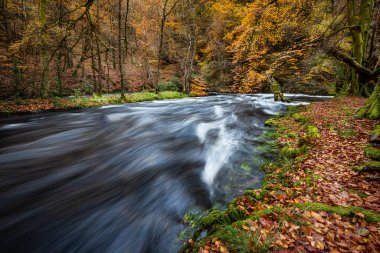 İskoçya 'daki Callander yakınlarındaki Trossachs Ulusal Parkı' ndaki Achray Nehri 'nin sonbahar renkleri