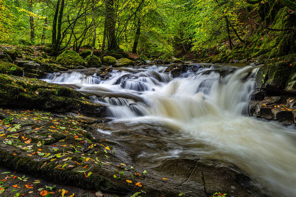 Small waterfalls in the Moness gorge at the Birks of Aberfeldy in the Perthshire countryside, Scottish Highlands