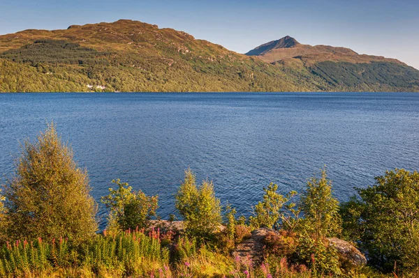 Mirando Hacia Fuera Sobre Loch Lomond Las Tierras Altas Escocesas —  Fotos de Stock