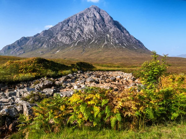 Buachaille Etive Mor in autunno — Foto Stock