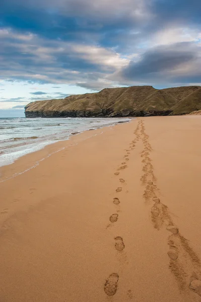 Huellas en la arena, Strathy Bay — Foto de Stock