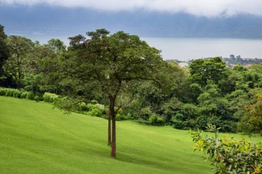 Bedugul 'daki Bali Botanik Bahçesi. Tepeden bak. Tropikal bitkiler ve gölle panoramik manzara. Yatay konum.