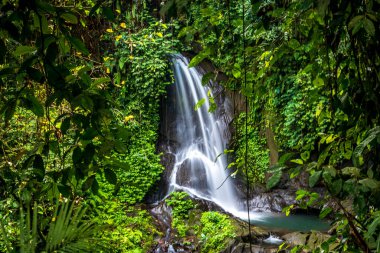 Şelale manzarası. Yağmur ormanlarında gizlenmiş güzel Pengibul şelalesi. Tropik bir manzara. Yavaş deklanşör hızı, hareket fotoğrafçılığı. Doğa geçmişi. Yatay yerleşim planı. Bali, Endonezya