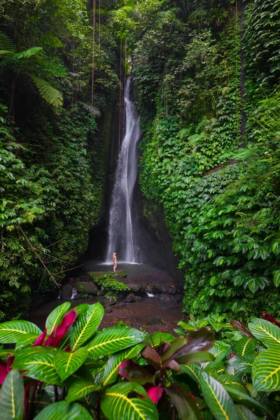 Jovem Viajante Mulher Cachoeira Floresta Tropical Mulher Branca Biquíni Vista — Fotografia de Stock