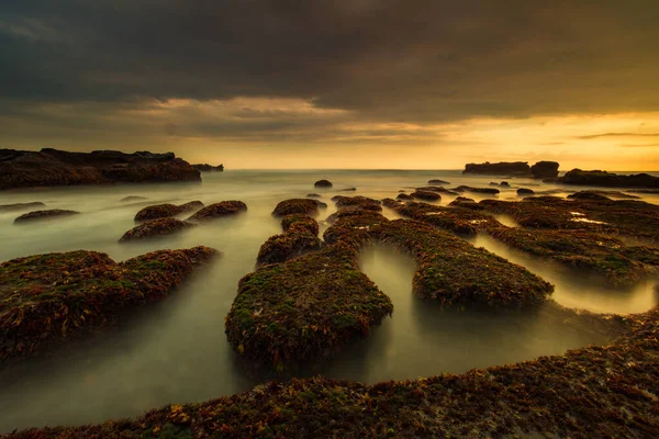 Erstaunliche Meereslandschaft Als Hintergrund Strand Mit Steinen Und Felsen Ebbe — Stockfoto
