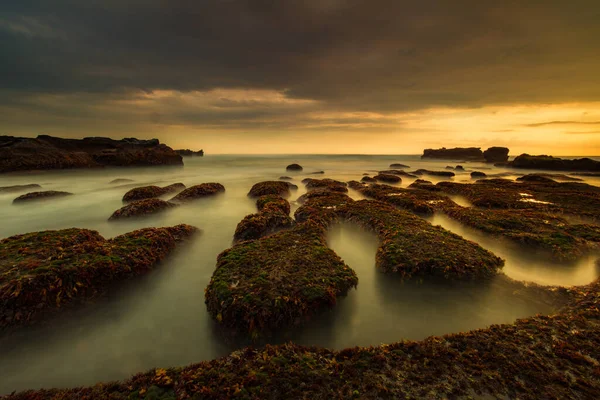 Meraviglioso Paesaggio Marino Sfondo Spiaggia Con Rocce Sassi Bassa Marea — Foto Stock