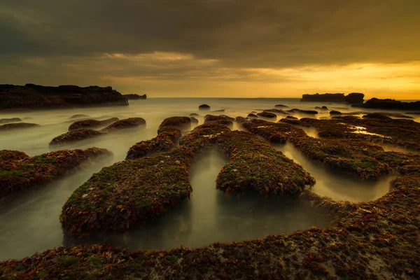 Erstaunliche Meereslandschaft Als Hintergrund Strand Mit Steinen Und Felsen Ebbe — Stockfoto