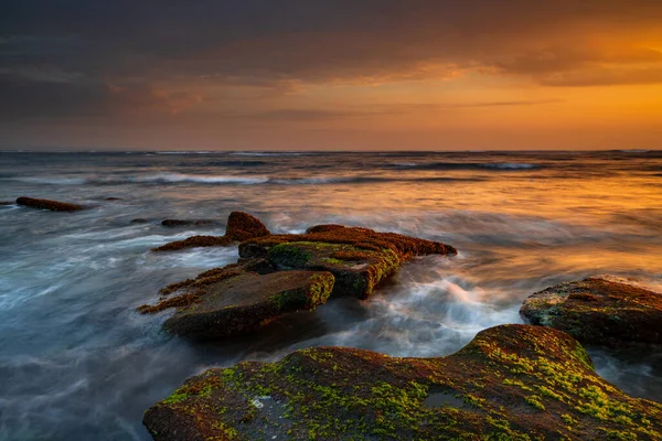 美丽的海景 海滩上铺满了海藻 自然的组成 移动的水 多云的天空 阳光灿烂 慢速快门速度 集中精神Mengening海滩 印度尼西亚巴厘 — 图库照片