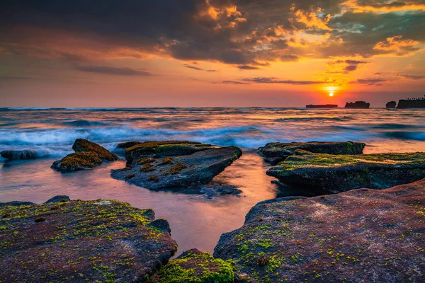 Piękny Krajobraz Morski Plaża Kamieniami Pokrytymi Wodorostami Morskimi Przypływ Skład — Zdjęcie stockowe