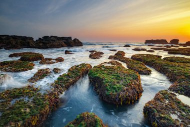 İnanılmaz bir deniz manzarası. Hareket eden dalgalı okyanus. Düşük lide. Yeşil yosun ve yosunlarla kaplı taşlar. Doğa geçmişi kavramı. Gün batımı manzarası. Uzun pozlama. Yumuşak odaklanma. Mengening Plajı, Bali, Endonezya