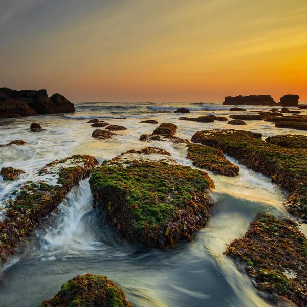 惊人的海景 波涛汹涌的海洋低调点 被绿色苔藓和海藻覆盖的石头 自然背景的概念 夕阳西下长期暴露 集中精神Mengening海滩 印度尼西亚巴厘 — 图库照片