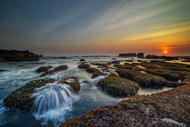 İnanılmaz bir deniz manzarası. Hareket eden dalgalı okyanus. Düşük lide. Yeşil yosun ve yosunlarla kaplı taşlar. Güneş ufukta görünüyor. Günbatımı manzara arka planı. Uzun pozlama. Yumuşak odaklanma. Mengening Plajı, Bali, Endonezya