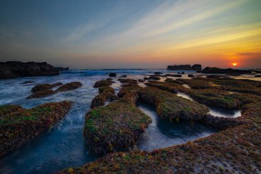 İnanılmaz bir deniz manzarası. Hareket eden dalgalı okyanus. Düşük lide. Yeşil yosun ve yosunlarla kaplı taşlar. Güneş ufukta görünüyor. Günbatımı manzara arka planı. Uzun pozlama. Yumuşak odaklanma. Mengening Plajı, Bali, Endonezya