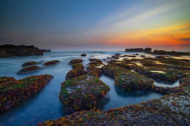 Güzel deniz manzarası. Hareket dalgalı okyanus. Düşük lide. Yeşil yosun ve yosunlarla kaplı taşlar. Doğa geçmişi kavramı. Gün batımı manzarası. Uzun pozlama. Yumuşak odaklanma. Mengening Plajı, Bali