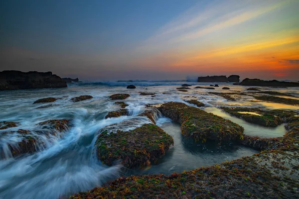 Amazing Seascape Ocean Moving Wave Low Lide Stones Covered Green — Stock Photo, Image