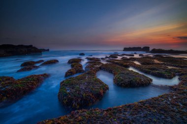 Güzel deniz manzarası. Hareket dalgalı okyanus. Düşük lide. Yeşil yosun ve yosunlarla kaplı taşlar. Doğa geçmişi kavramı. Gün batımı manzarası. Uzun pozlama. Yumuşak odaklanma. Mengening Plajı, Bali