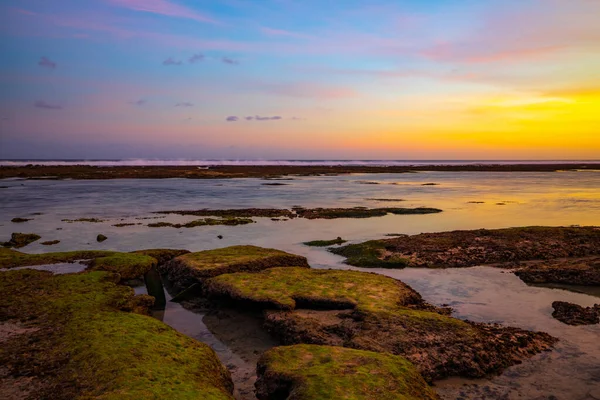 海景为背景 粉色日落 岩石和石头 有绿色海藻和苔藓的石头 晴朗的天空 慢速快门速度 集中精神印度尼西亚巴厘Melasti海滩 — 图库照片