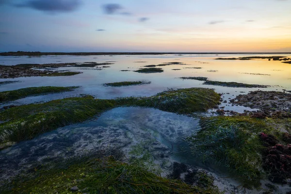 Paisagem Marinha Oceano Durante Maré Baixa Paisagem Aquática Água Limpa — Fotografia de Stock