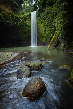 Yağmur ormanlarında saklı şelale. Tropik manzara macerası ve seyahat konsepti. Doğa geçmişi. Çevre konsepti. Yavaş deklanşör hızı, hareket fotoğrafçılığı. Tibumana şelalesi Bali, Endonezya