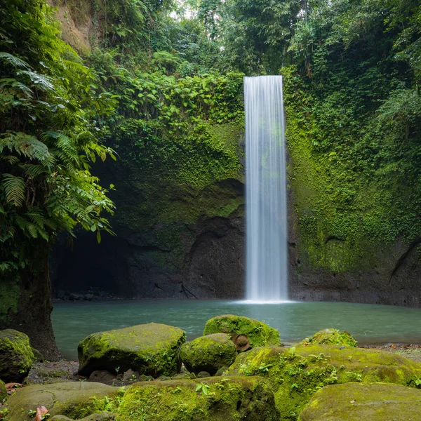 Paysage Tropical Belle Cascade Cachée Dans Forêt Tropicale Concept Aventure — Photo