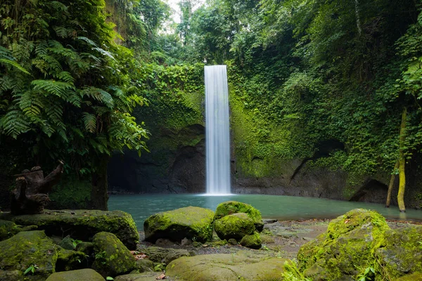 Paysage Cascade Belle Forêt Tropicale Humide Fond Naturel Concept Aventure — Photo