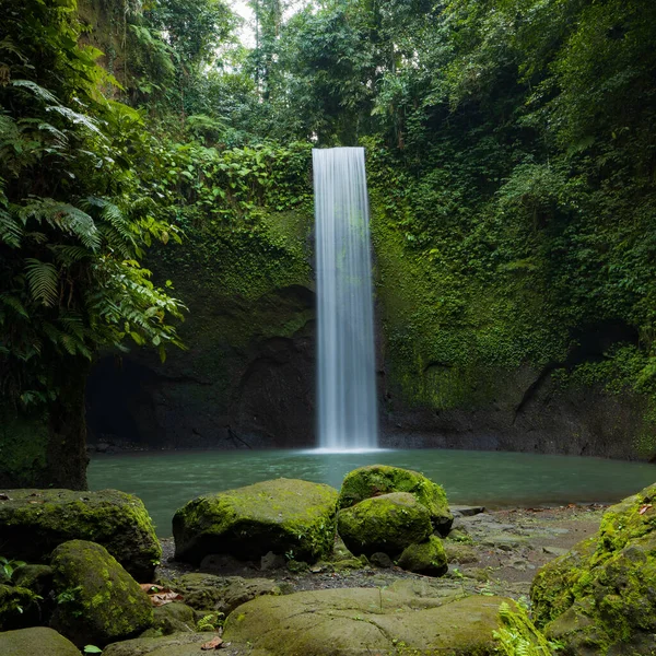 Paisagem Cachoeira Bela Floresta Tropical Fundo Natureza Conceito Aventura Viagem — Fotografia de Stock