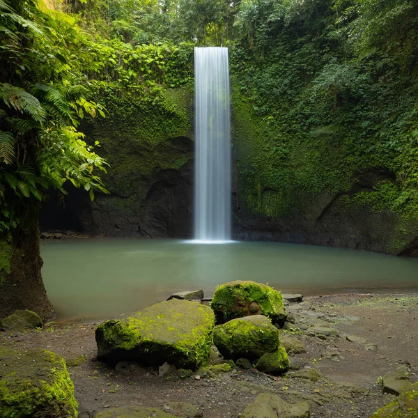 雨林中隐藏的瀑布 热带风景探险和旅行的概念 自然背景 环境概念 慢速快门速度 运动摄影 印度尼西亚巴厘Tibumana瀑布 — 图库照片