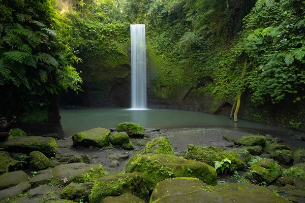 熱帯雨林の滝へのパノラマビュー 熱帯の風景 冒険と旅行の概念 自然を背景に 遅いシャッター速度 動きの写真 水の流れだ ティブマナ滝 バリ島情報クラウドサービス — ストック写真