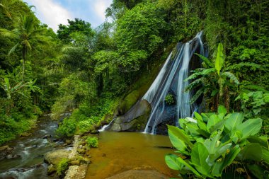 Tropikal ormandaki şelale manzarası. Yeşil bitkilerle ön plan. Yeşillik. Doğa geçmişi. Yavaş deklanşör hızı, hareket fotoğrafçılığı. Su akışı. Antapan şelalesi Bali, Endonezya