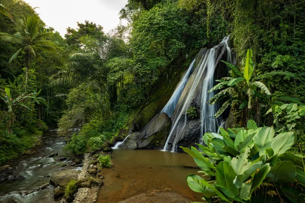 Waterfall landscape in tropical forest. Foreground with green plants. Lush foliage. Nature background. Slow shutter speed, motion photography. Water flow. Antapan waterfall Bali, Indonesia