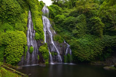 Şelale manzarası. Güzel tropikal yağmur ormanları. Doğa geçmişi. Macera ve seyahat konsepti. Doğal ortam. Yavaş deklanşör hızı, hareket fotoğrafçılığı. Banyumala Şelalesi, Bali, Endonezya