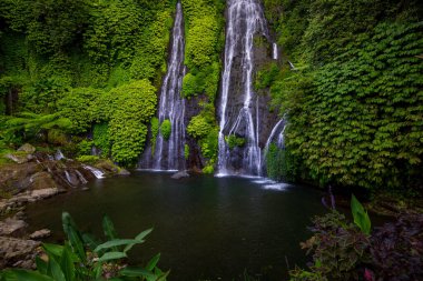 Şelale manzarası. Tropik bir manzara. Doğa geçmişi. Macera ve seyahat konsepti. Doğal ortam. Yavaş deklanşör hızı, hareket fotoğrafçılığı. Banyumala Şelalesi, Bali, Endonezya