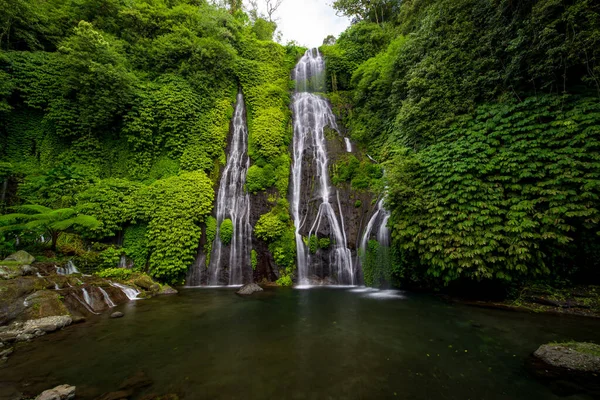 Yüzmek için kocaman göleti olan bir şelale. Tropik bir manzara. Doğa geçmişi. Seyahat macerası konsepti. Çevre konsepti. Yavaş deklanşör hızı, hareket fotoğrafçılığı. Banyumala Şelalesi, Bali Endonezya
