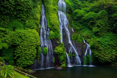 Şelale manzarası. Tropik bir manzara. Doğa geçmişi. Macera ve seyahat konsepti. Doğal ortam. Yavaş deklanşör hızı, hareket fotoğrafçılığı. Banyumala Şelalesi, Bali, Endonezya