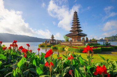 Bali adasındaki Pura Ulun Danu Bratan tapınağı. Güzel bale tapınağı. Bali 'nin simgesi. Beyaz bulutlu mavi gökyüzü. Kırmızı çiçekli ön plan. Bratan Gölü, Bedugul, Bali, Endonezya